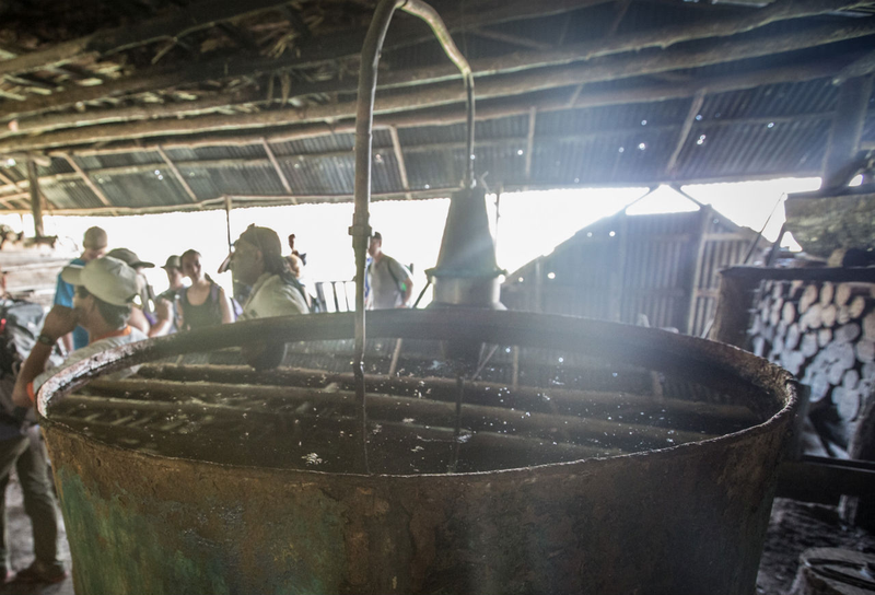 Illustration for article titled Into The Amazon: Boats, Breakfast And Blowguns
